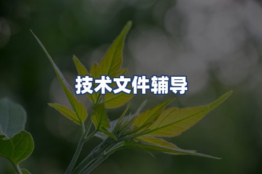 技术文件辅导