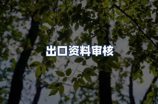 出口资料审核